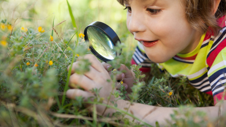 How to Develop a Beginner’s Mind: 3 Tips