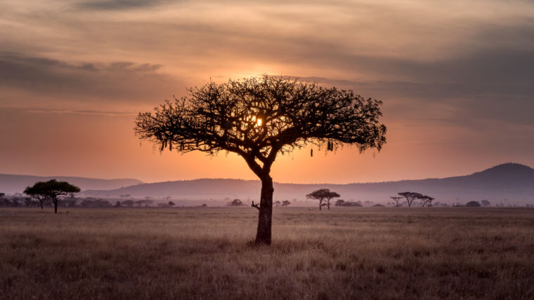 What is Spirituality?