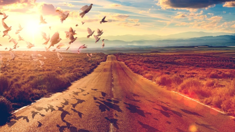 How to Forgive | Self & Others