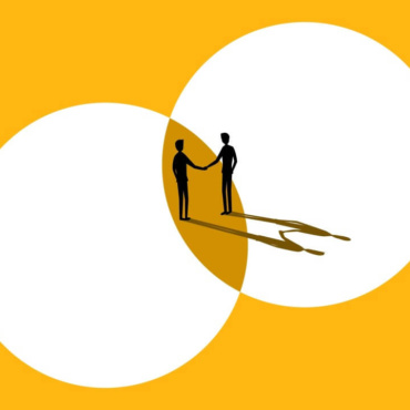 The Established CIO: Sustaining Performance and Expanding Influence